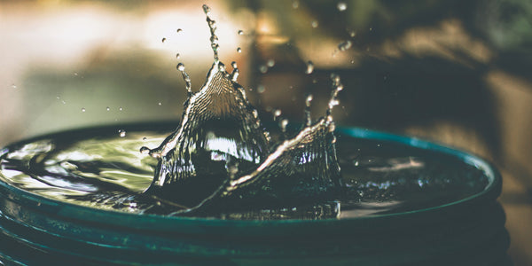 TUTAKA Blog - Recap vom Webinar Wassermanagement