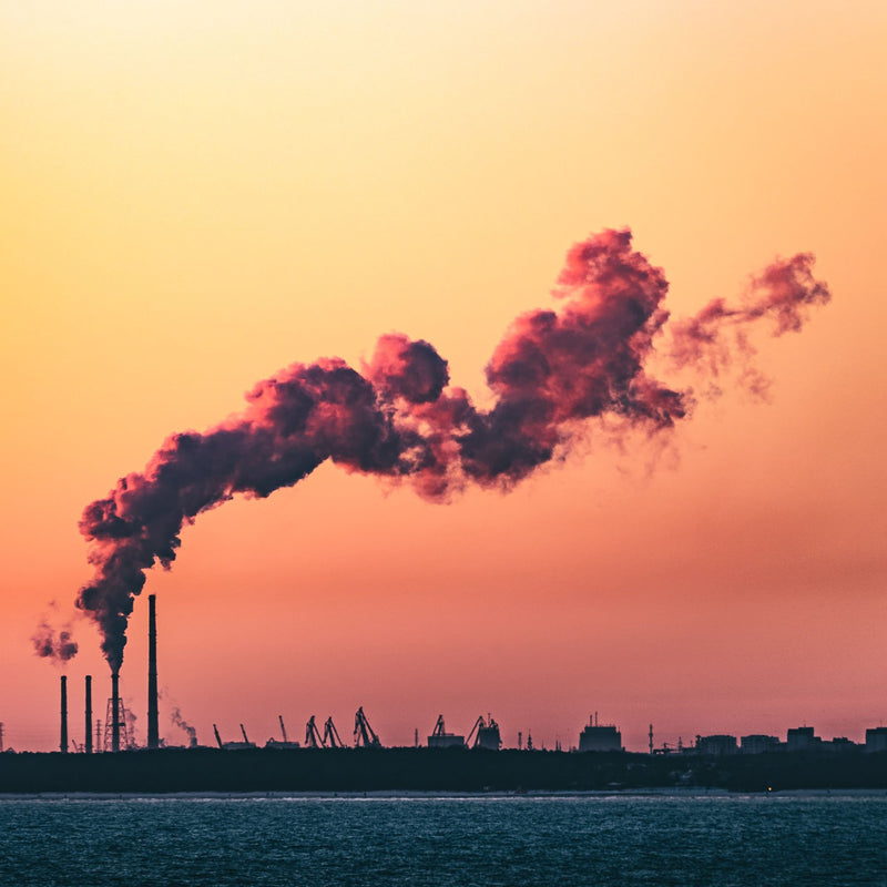 CO2 Berechnung & Kompensation
